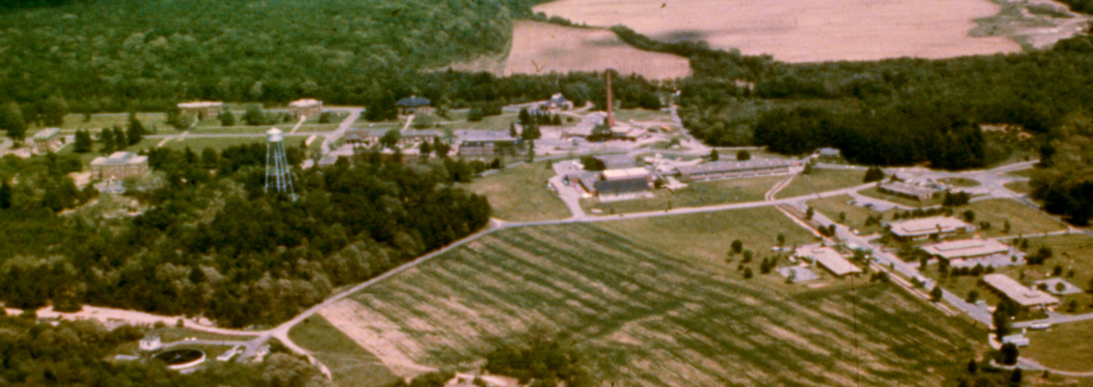 The Ladd School 1950
